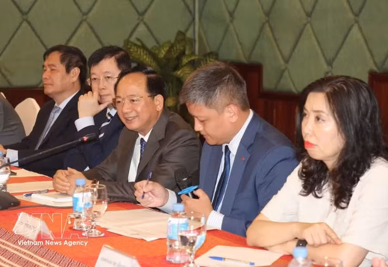 La delegación vietamita en la reunión. (Foto: VNA)