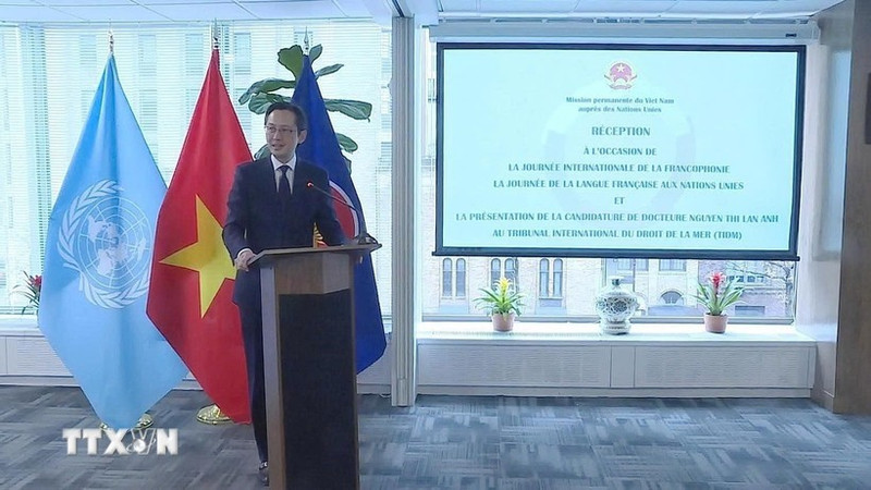 El embajador Do Hung Viet, jefe de la misión permanente de Vietnam ante la Organización de las Naciones Unidas, habla en la cita. (Foto: VNA)
