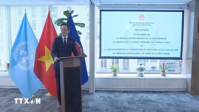 El embajador Do Hung Viet, jefe de la misión permanente de Vietnam ante la Organización de las Naciones Unidas, habla en la cita. (Foto: VNA)