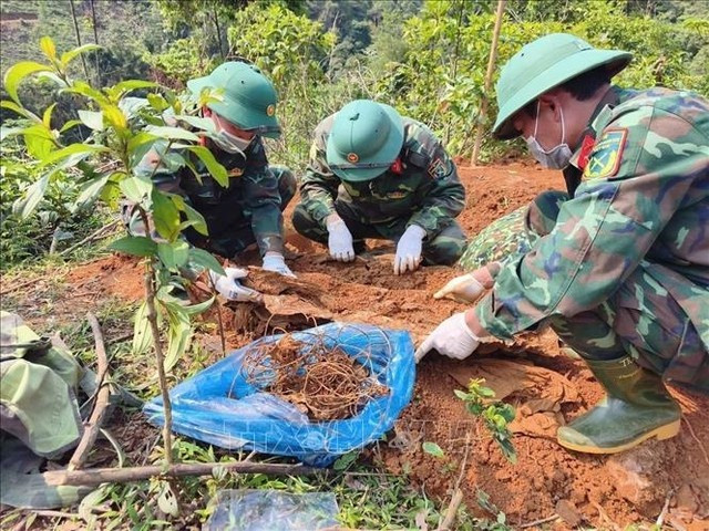 Vietnam lanza una campaña de 500 días y noches para la búsqueda y la repatriación de restos de mártires. (Foto: VNA)