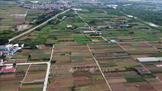 Foto de ilustración. (Fuente: VNA)