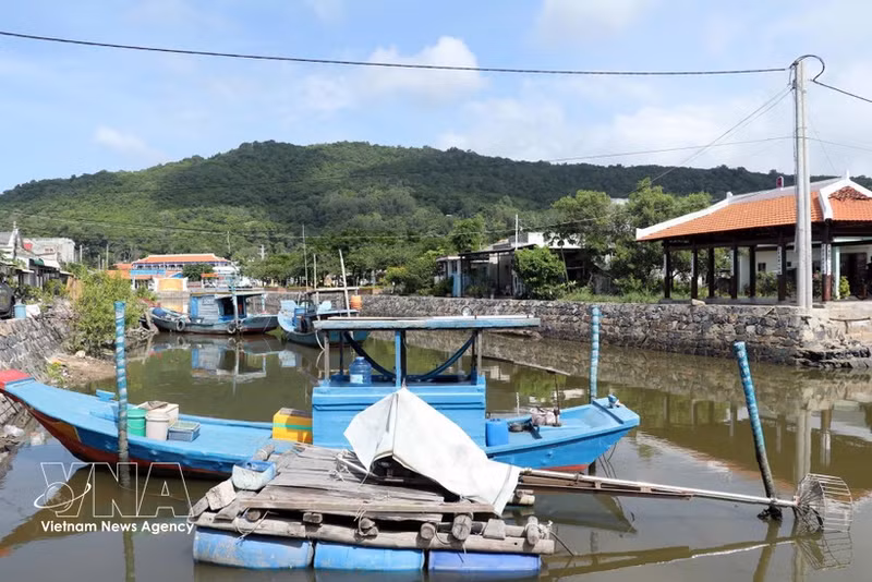 El canal que pasa frente a la mansión de Long Son Grand House se ha vuelto más limpio y bonito, en parte gracias a los esfuerzos de limpieza ambiental de la empresa Long Son Petrochemicals. (Foto: VNA)