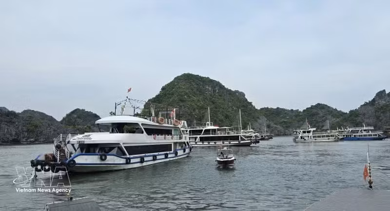 Barcos en el muelle turístico de Cai Beo esperan recoger a turistas que visitan la bahía de Lan Ha. (Foto: VNA)