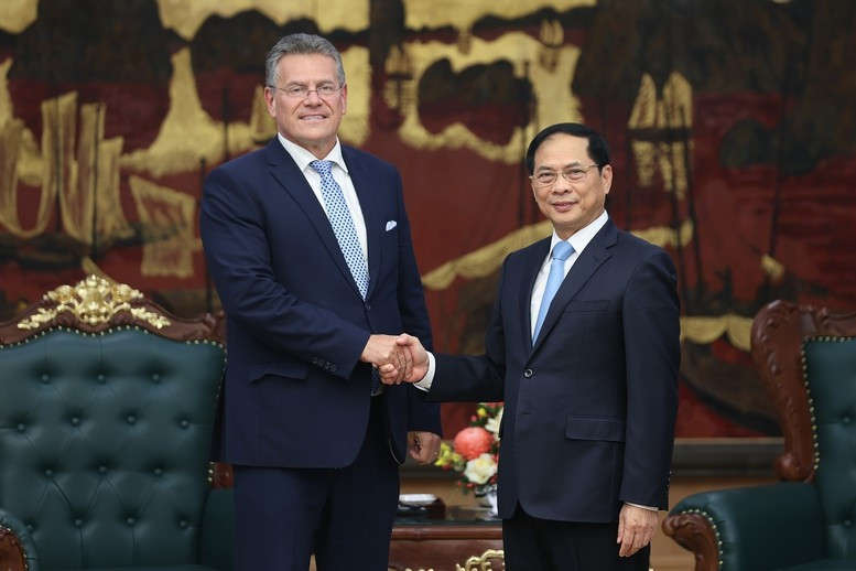 El vice primer ministro de Vietnam Bui Thanh Son recibe al comisario de Comercio y Seguridad Económica de la Unión Europea, Maros Sefcovic. (Foto: VGP)
