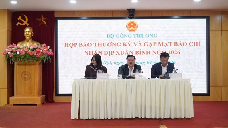 El viceministro de Industria y Comercio de Vietnam Nguyen Sinh Nhat Tan habla en una rueda de prensa. (Foto: VNA)