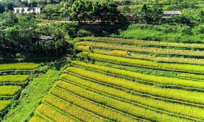 Belleza de Thuong Coc. (Foto: VNA)