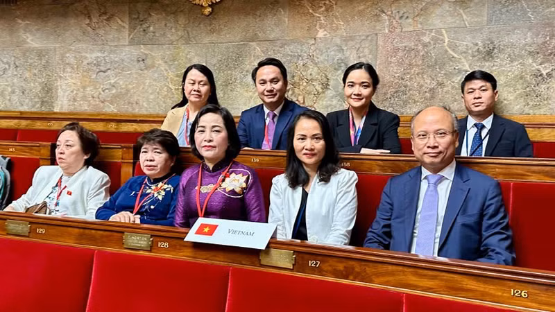 La delegación vietnamita en la APF-50. (Foto: VNA)