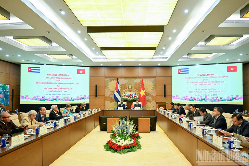 Panorama de la reunión. (Foto: Nhan Dan)