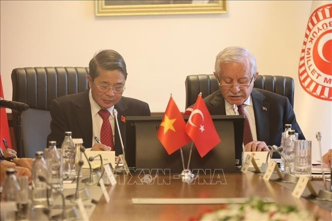 El vicepresidente de la Asamblea Nacional de Vietnam Nguyen Duc Hai sostiene una reunión de trabajo con su homólogo turco, Celal Adan. (Foto: VNA)
