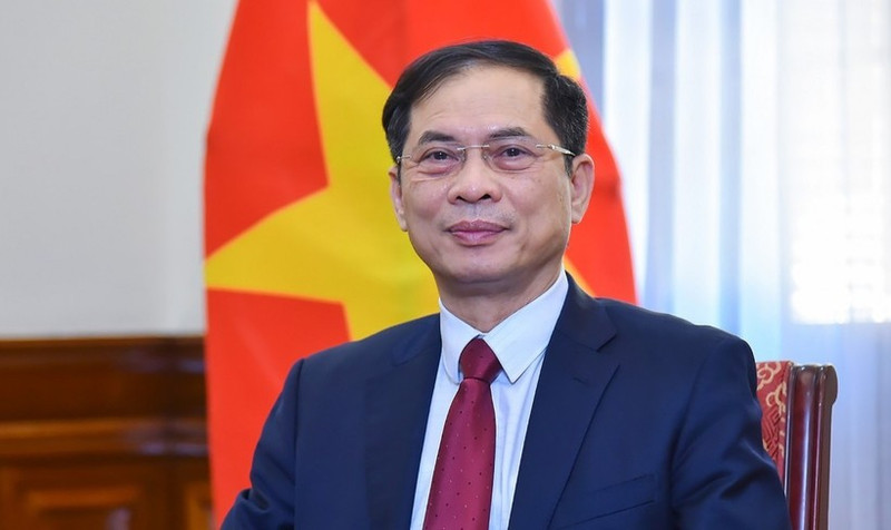El vicepremier y ministro de Relaciones Exteriores de Vietnam, Bui Thanh Son. (Foto: VNA)