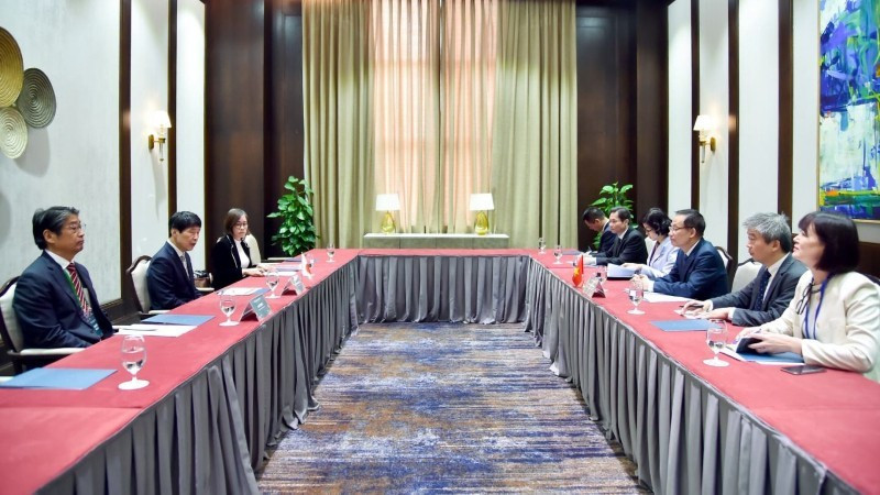 Escena de la reunión. (Foto: Ministerio de Relaciones Exteriores de Vietnam)