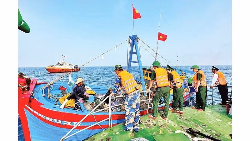La Fuerza de Guardia Fronteriza de Quang Ngai patrulla regularmente el mar y gestiona estrictamente los casos de buques pesqueros que violan las regulaciones de la pesca INDNR. (Foto: Nhan Dan)
