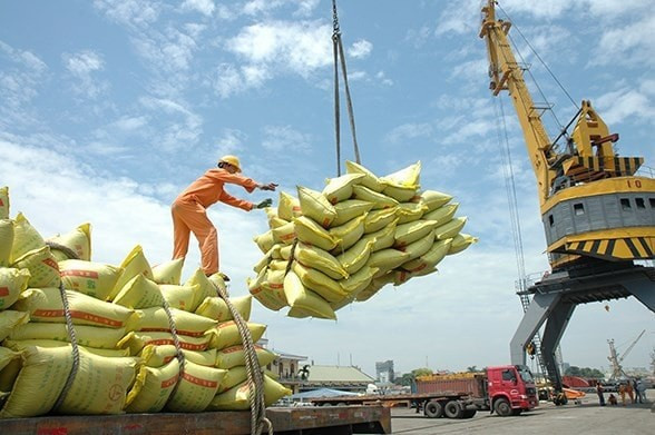Vietnam ha exportado 6,3 millones de toneladas de arroz en los primeros ocho meses de 2025. (Foto: VNA)