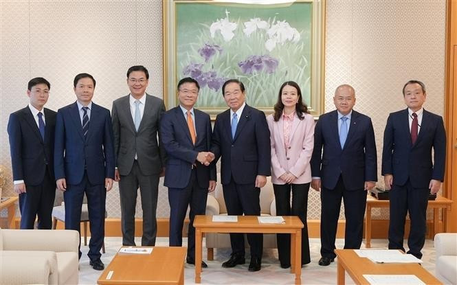 El vice premier vietnamita Le Thanh Long (cuarto desde la izquierda) se reúne con el presidente de la Cámara de Representantes de Japón, Nukaga Fukushiro (cuarto desde la derecha). (Foto: VNA)