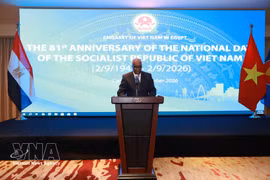 El viceministro egipcio de Relaciones Exteriores Mohamed Abou Bakr Saleh habla en el evento. (Foto: VNA)
