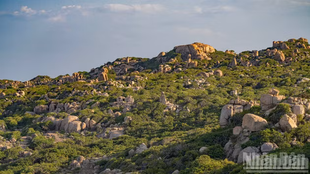 [Foto] Parque de rocas Nui Chua: un museo geomorfológico de millones de años a orillas del mar de Khanh Hoa