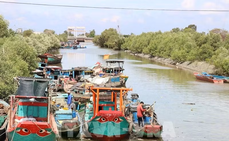 El Comité Popular de la provincia de Dong Thap está implementando el "Proyecto para transformar algunos oficios relativos a la explotación acuática que afectan los recursos marinos y el entorno ecológico" (Foto: VNA)