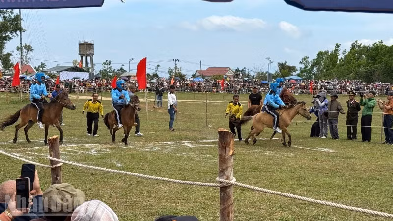 Los jinetes campesinos y los caballos de carga participan en la carrera.