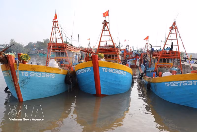Barcos anclados en el puerto pesquero de Vam Lang, comuna de Gia Thuan, provincia de Dong Thap. (Foto: VNA)