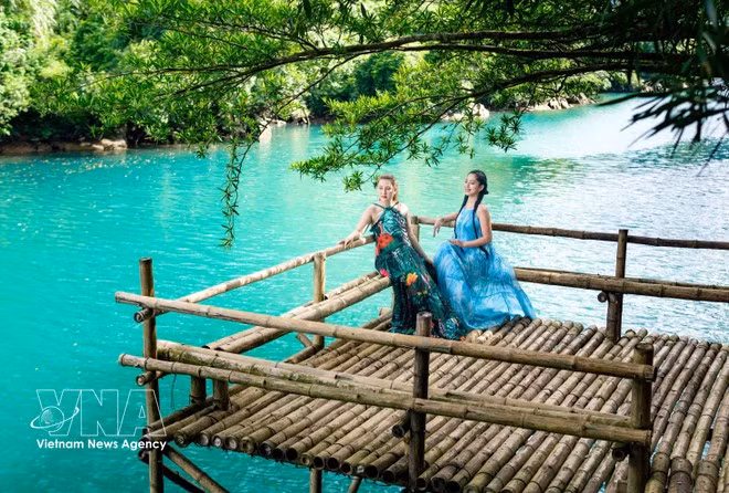 La provincia de Quang Tri promueve el turismo bajo cubierta forestal, integrándolo con la conservación de los bosques y el desarrollo sostenible. (Foto: VNA)