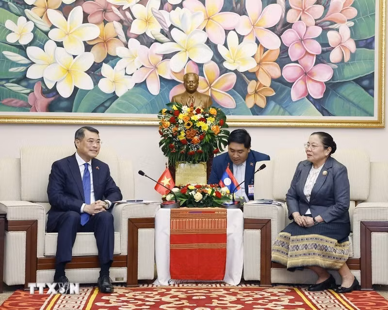 El jefe de la Comisión de Organización del Comité Central del Partido Comunista de Vietnam, Le Minh Hung, en una reunión con su homólogo laosiano, Sisay Leudetmounsone. (Foto: VNA)
