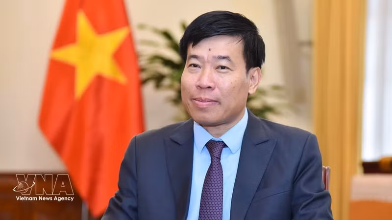 El viceministro de Relaciones Exteriores de Vietnam, Nguyen Manh Cuong. (Foto: VNA)