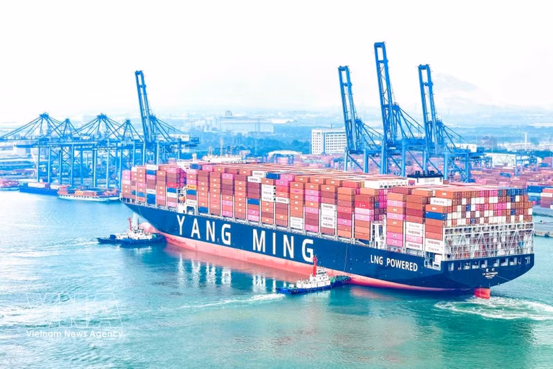 El buque portacontenedores YM WAYFINDER, operado por la naviera Yang Ming, atraca en la Terminal Internacional de Tan Cang-Cai Mep (Foto: VNA)
