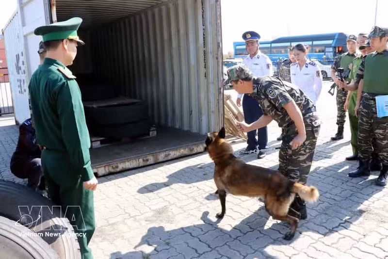 Vietnam intensifica lucha contra drogas. (Foto: VNA)