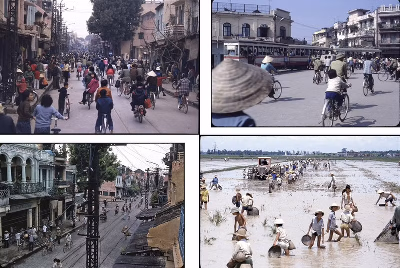 Obras “Sin título”, de Daniel Roussel. (Foto: Comité Organizador)