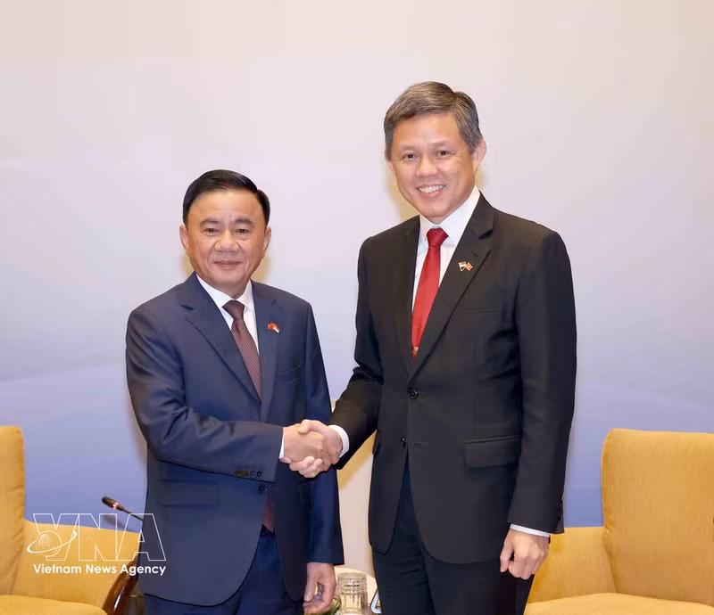 Tran Cam Tu (izquierda), miembro del Buró Político e integrante permanente del Secretariado del Comité Central del PCV, y Chan Chun Sing, secretario general adjunto del PAP, ministro coordinador de Servicios Públicos y titular de Defensa de Singapur. (Foto: VNA)