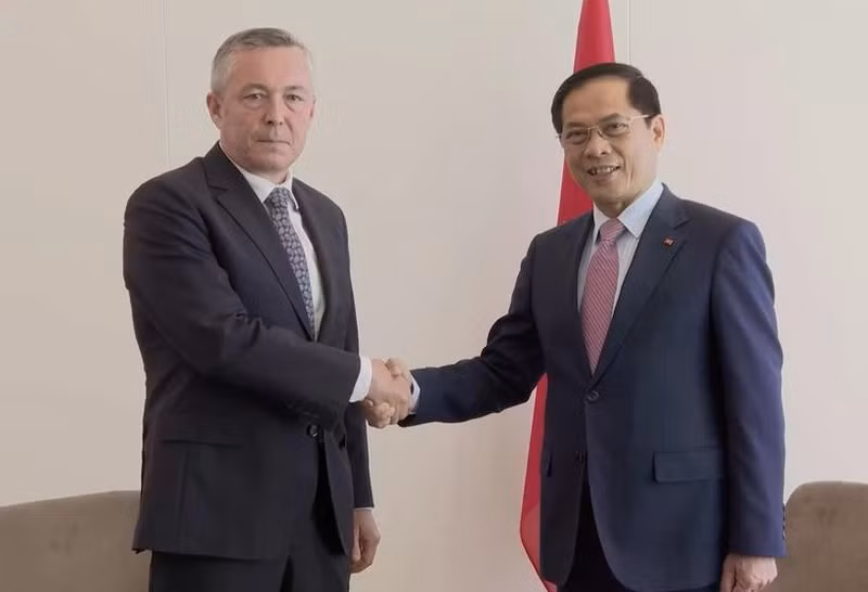 El viceprimer ministro y canciller de Vietnam, Bui Thanh Son (derecha) y el enviado especial del presidente de Chile, Heraldo Muñoz (Foto: VNA)