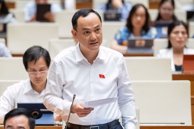 El diputado Nguyen Ngoc Son de la provincia norteña de Hai Duong. (Foto: VNA)