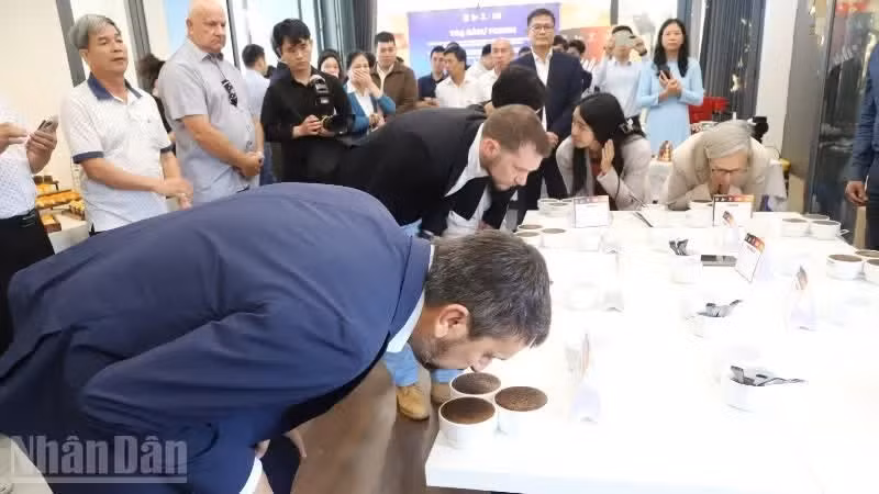 Expertos internacionales degustan el café de especialidad de Dak Lak.