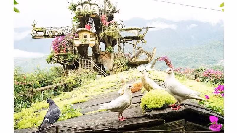 Un ambiente de tranquilidad en las montañas del noroeste.