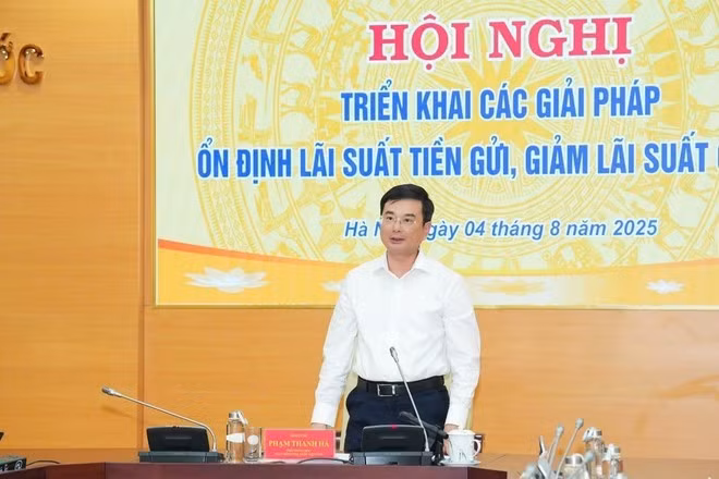 El vicegobernador Pham Thanh Ha habla en la Conferencia. (Foto: VNA)