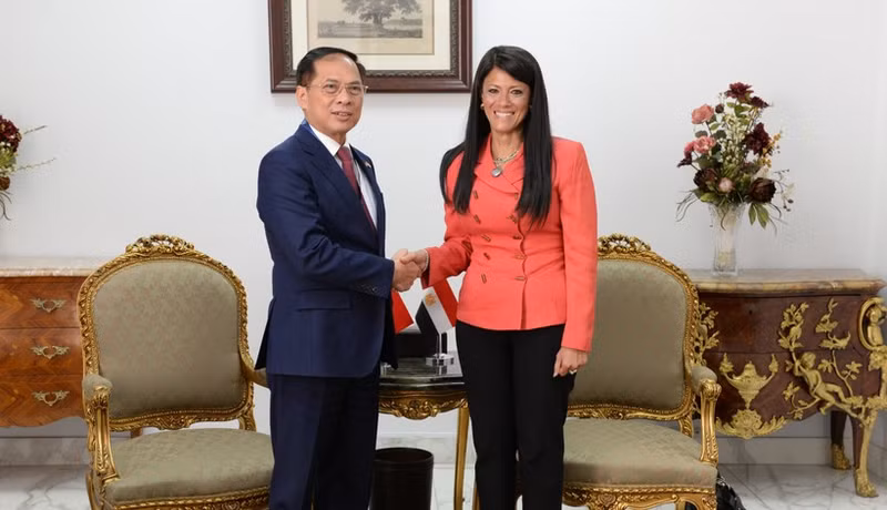 El viceprimer ministro y canciller de Vietnam, Bui Thanh Son, y la ministra de Planificación, Desarrollo Económico y Cooperación Internacional de Egipto, Rania A. Al-Mashat (Foto: VNA)