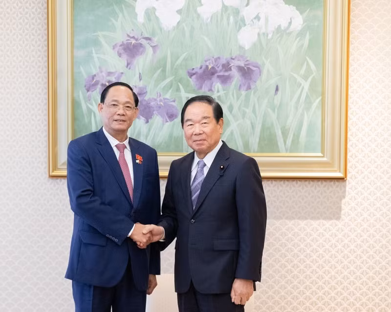 El vicepresidente de la Asamblea Nacional de Vietnam Tran Quang Phuong (izquierda) se reúne con el titular de la Cámara de Representantes de Japón, Nukaga Fukushiro. (Foto: VNA)
