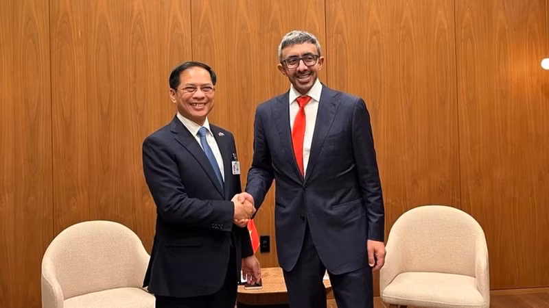 El viceprimer ministro vietnamita Bui Thanh Son se reúne con el vicepremier y ministro de Relaciones Exteriores de Emiratos Árabes Unidos (EAU), Sheikh Abdullah bin Zayed Al Nahyan. (Foto: VNA)