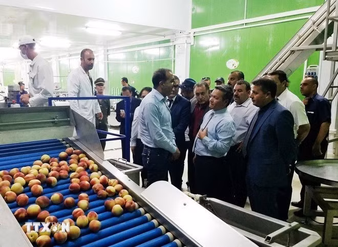Una delegación de la Embajada de Vietnam en Argelia visitó una empresa local en la provincia de Médéa. (Foto: VNA)