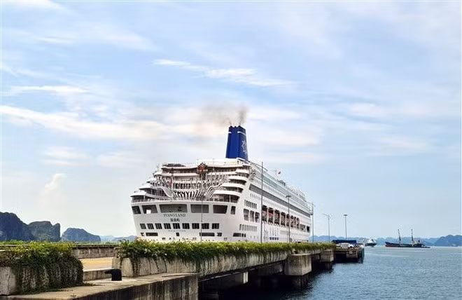 El crucero Piano Land transporta a unos mil turistas a la ciudad de Ha Long, en la provincia de Quang Ninh. (Foto: VNA)