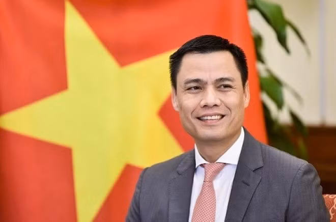 El viceministro de Relaciones Exteriores Dang Hoang Giang (Foto: VNA)