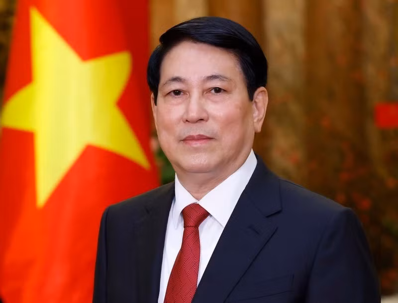 El presidente de Vietnam Luong Cuong (Foto: VNA)
