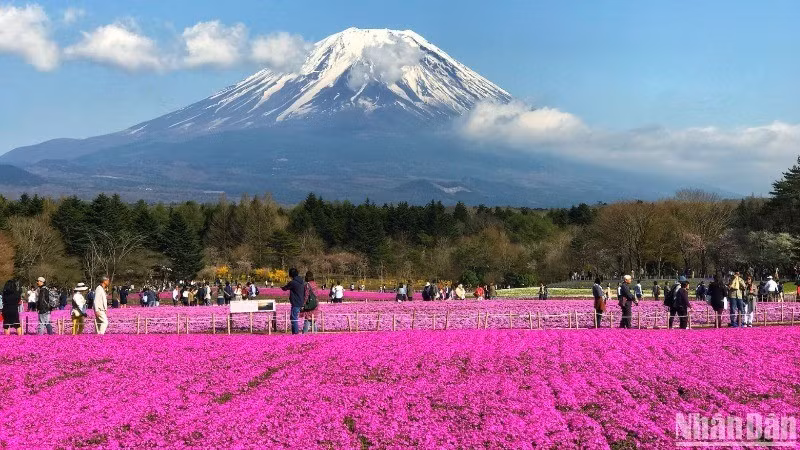 Japón sigue siendo uno de los países elegidos por muchos turistas vietnamitas.