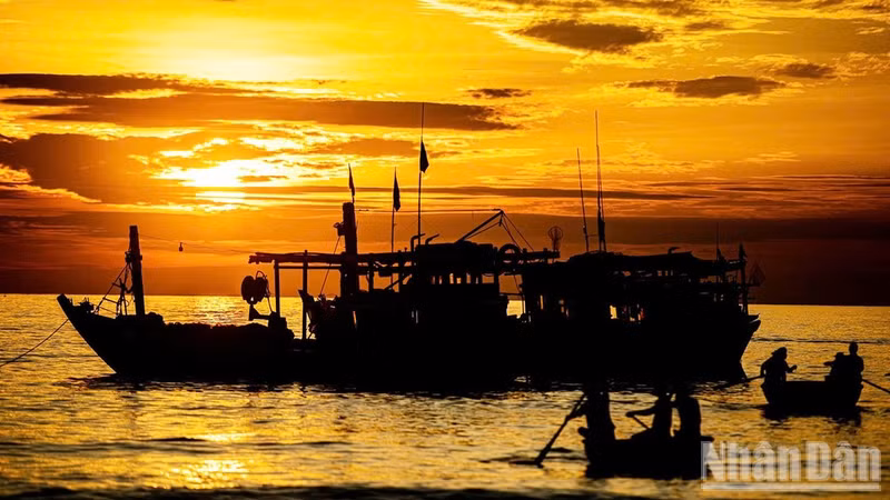 Amanecer en la aldea pesquera de Tam Tien (Da Nang). (Foto: Thanh Tam)