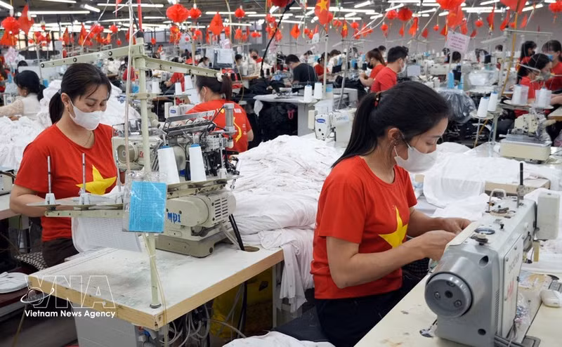 El Ministerio de Industria y Comercio ha emitido una circular que modifica y complementa algunas regulaciones sobre la exportación de textiles y prendas de vestir a México en el marco del Acuerdo CPTPP. (Foto: VNA)