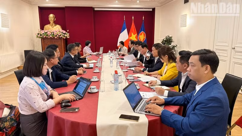 El grupo de trabajo de la Oficina del Comité Central del PCV colabora con la embajada de Vietnam en Francia. (Foto: Khai Hoan)
