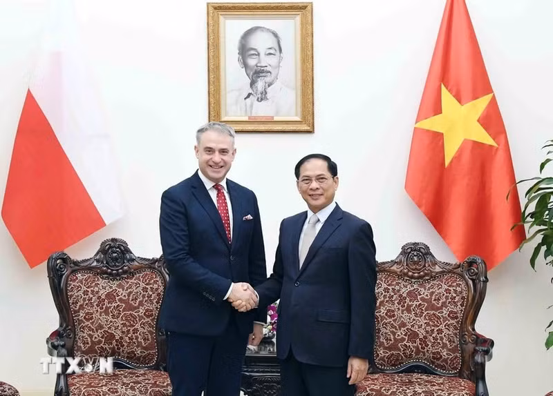 El viceprimer ministro vietnamita Bui Thanh Son, y el viceprimer ministro y ministro de Transformación Digital de Polonia, Krzysztof Gawkowski. (Foto: VNA)