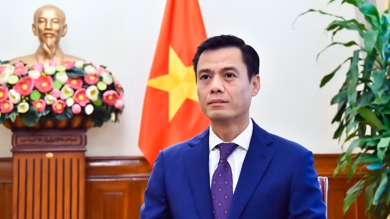El viceministro de Relaciones Exteriores Dang Hoang Giang. (Foto: VNA)