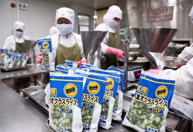 Productos vegetales procesados exportados a Japón. (Foto: VNA) Productos vegetales procesados exportados a Japón. (Foto: VNA)
