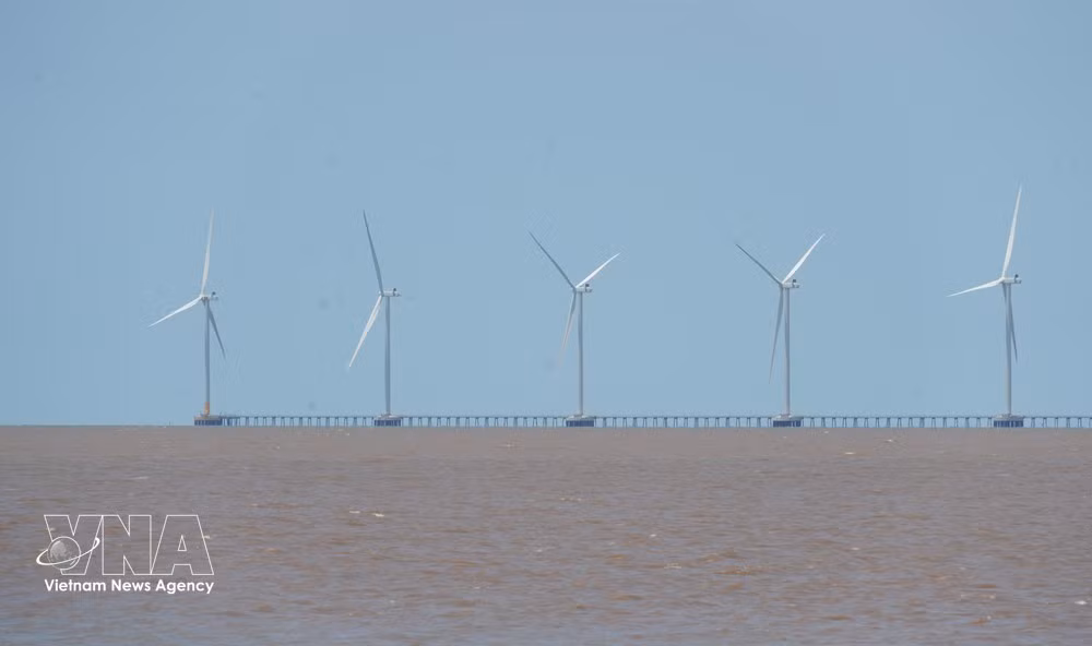 El proyecto de energía eólica en la comuna de Tan Thuan, provincia de Ca Mau, ha comenzado a funcionar. (Fuente: VNA)